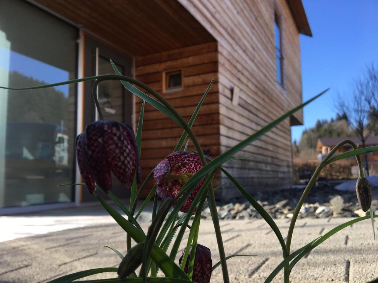 Gaestewohnung Zum Atelier Immenstadt im Allgäu Dış mekan fotoğraf